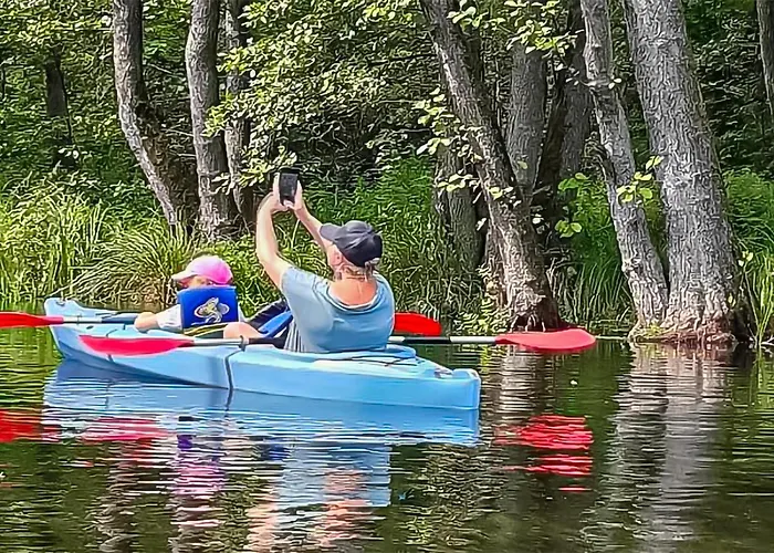 Дом отдыха Awesome In With Sauna Karsin